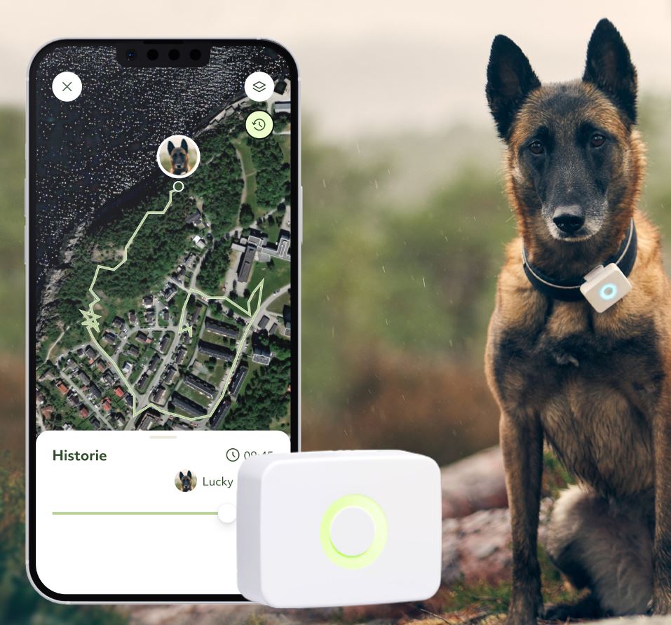 Lildog GPS-tracker til hund