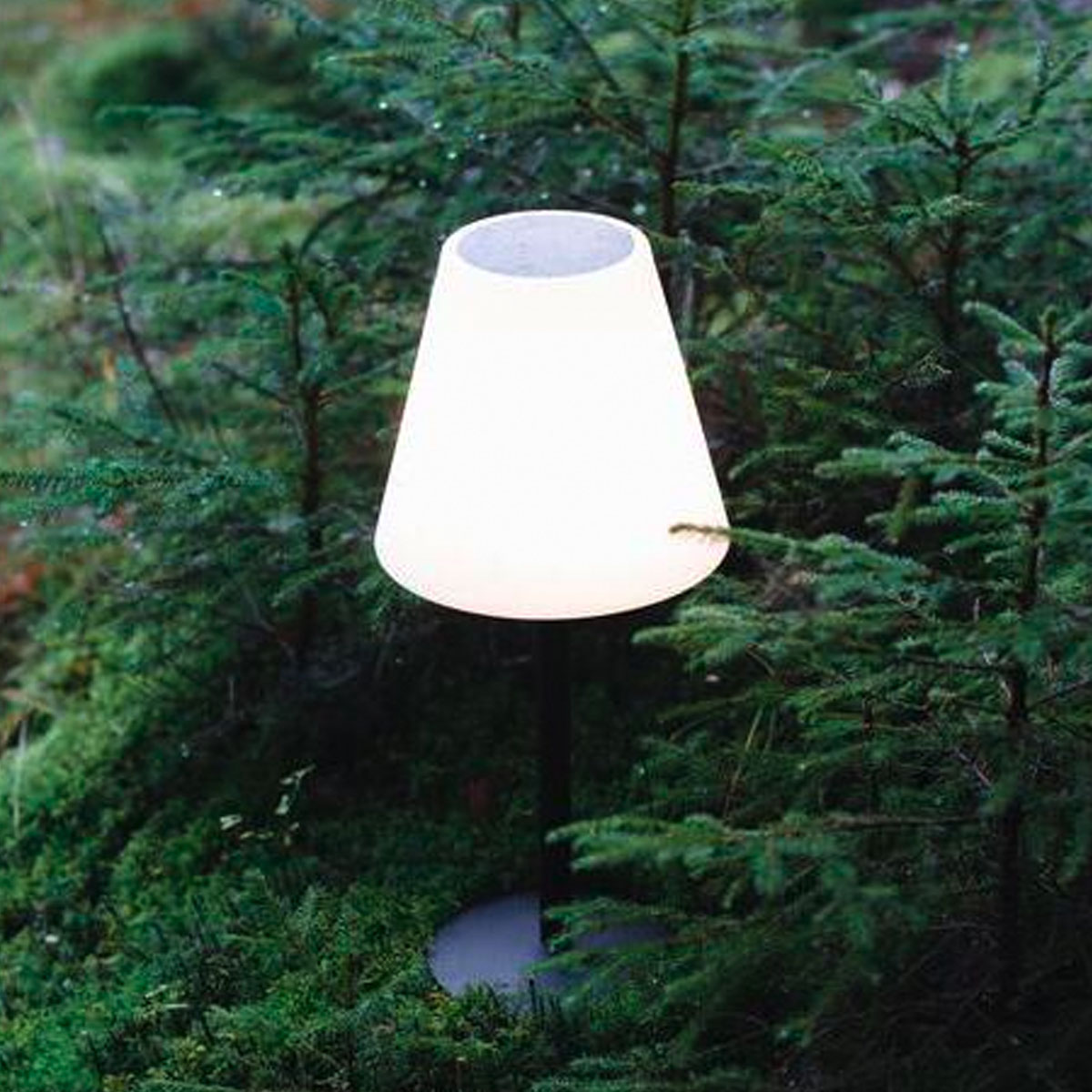 Stiernholm Glow - Bordlampe (45 cm)