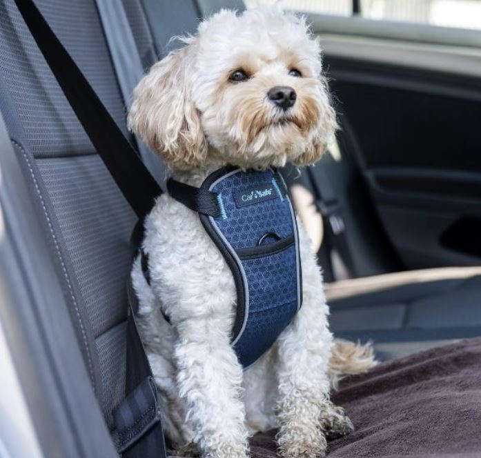 CarSafe kollisjonstestet hundesele til bil (X-Small)