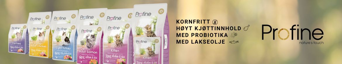 Til katten