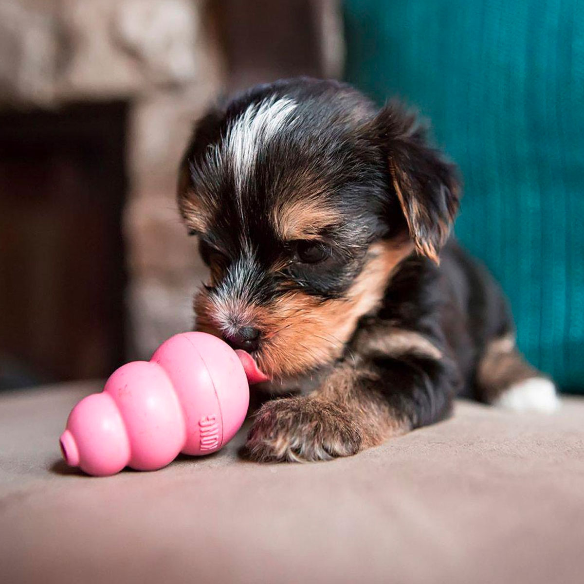 Kong Puppy - Hundeleke (Small)